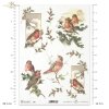 ptak, ptaszek, ptaszki, zima, śnieg, ostrokrzew, dekoracje na Boże Narodzenie, bożonarodzeniowe motywy, R595, bird, winter, snow, holly, christmas decorations, christmas motifs, Vogel, Vögelchen, Winter, Schnee, Stechpalme, Weihnachtsdekoration, Weihnacht